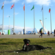 Illustration for article titled The Dogs Of Sochi